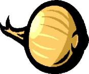 Bedfordshire Champion , Onion